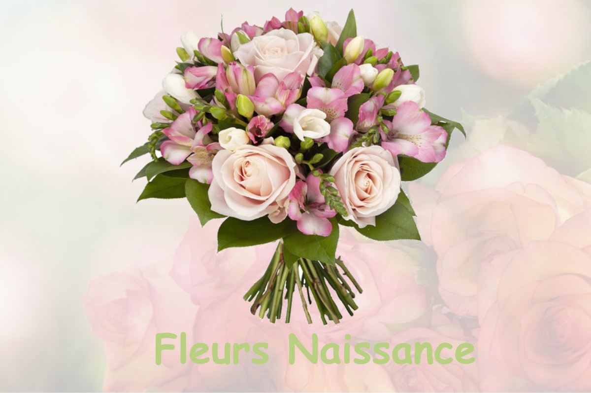 fleurs naissance GUIGNEVILLE