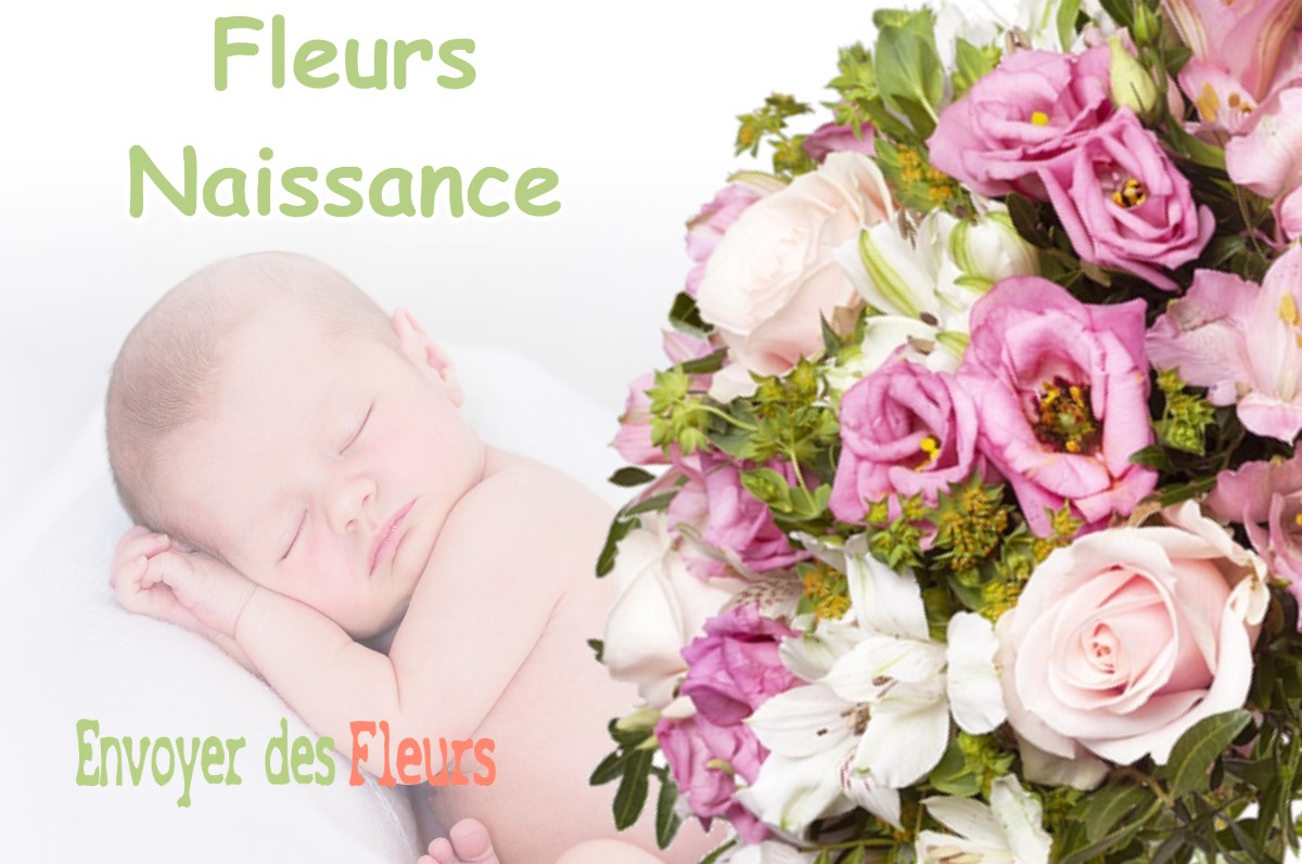 lIVRAISON FLEURS NAISSANCE à GUIGNEVILLE